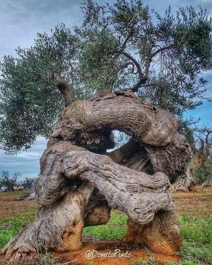 Apartmán Casa Vin Massafra Exteriér fotografie